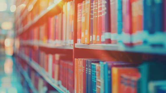 Becas para la formación archivística, documental y bibliotecaria relacionada con la actividad oficial del Senado para el año 2027.